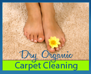 Dry, Organic, Carpet Cleaning by Amarillo Dry Carpet Cleaning 806-553-2077
