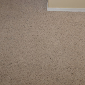 Amarillo dry carpet cleaning - carpet cleaning - dry organic carpet cleaning - stains after