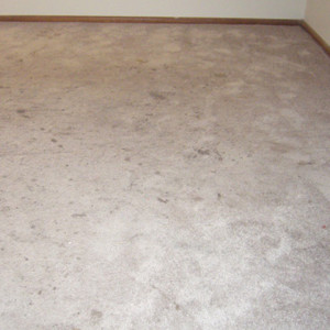 Amarillo dry carpet cleaning - carpet cleaning before