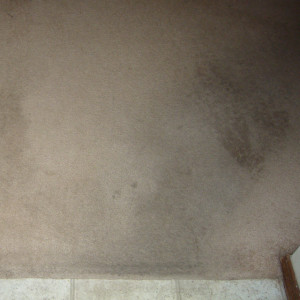 Amarillo dry carpet cleaning - carpet cleaning - carpet to tile before