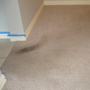 Amarillo dry carpet cleaning - carpet cleaning - dry carpet cleaning power before