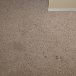 Amarillo dry carpet cleaning - carpet cleaning - dry organic carpet cleaning - stains before