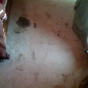 Amarillo Dry Carpet Cleaning - carpet cleaning before and after