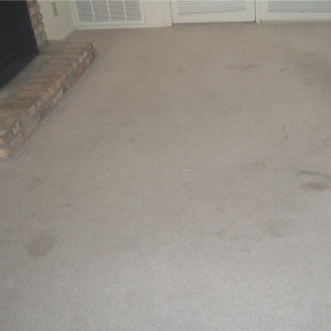 Amarillo Dry Carpet Cleaning - the power of dry