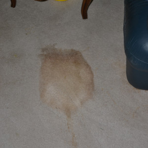 Amarillo dry carpet cleaning - coffee stain before