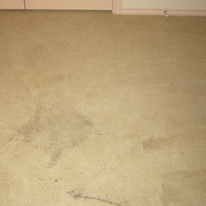 Amarillo dry carpet cleaning - stain before