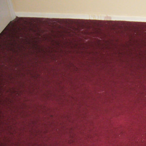 Amarillo dry carpet cleaning - before